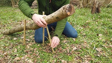 SIMPLEST Bushcraft DEAD FALL Trap  EVER