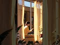 Morning Breeze Lofi 🍃 Quiet Coffee Vibes (16s Loop)  #lofi #beatstostudy #chill #aesthetic #music