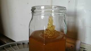 @تغذية النحل بالعسل الطبيعي الخالص في الشتاء بواسطة علب العسل الاعتياديه