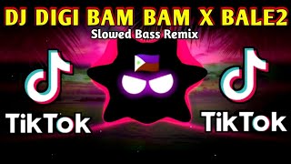 DJ DIGI BAM BAM X PALE PALE TIKTOK MUSHUP (SLOWED BASS REMIX) 2024