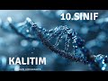 #10.sınıf Kalıtım Ders 5  "Eşeye bağlı kalıtım, renk körlüğü ve hemofili"