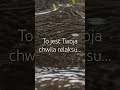 Twoja chwila relaksu. Relaks, deszcz, spokój. #mindset #nature #relaks #slowlife #deszcz