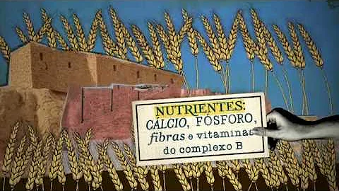 Como foi descoberto o trigo?