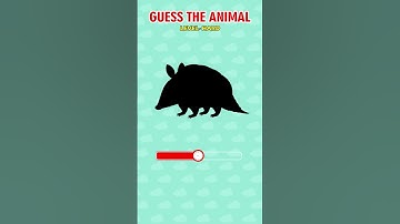 Comment Down your answer l Flicktale #mindbendingquiz #logicpuzzles