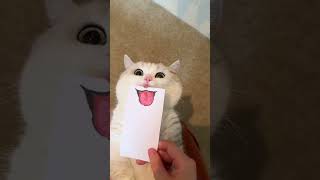 😻Dibujando sonrisa a mi gato 🫦#shorts #shorts #dibujo #drawing #humor #cute #mascotas #gatos #art