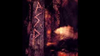 W.A.S.P. - Trail of tears