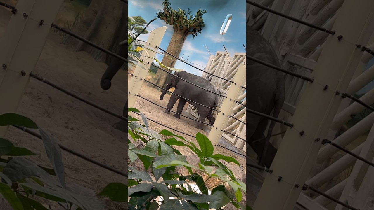 Казанский зоопарк