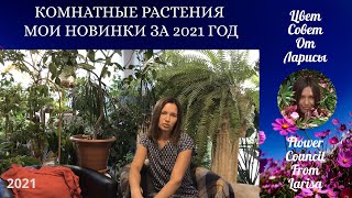 КОМНАТНЫЕ РАСТЕНИЯ МОИ НОВИНКИ ЗА 2021 ГОД