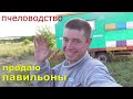 Гречка 5кг в день / БАД для пчёл / Продаю пасеку.