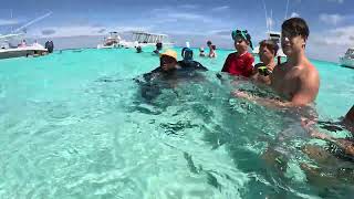 stingrays with the Snells