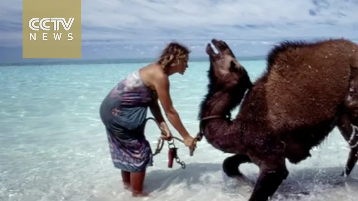 World Insight: Writer Robyn Davidson shares her 1,...
