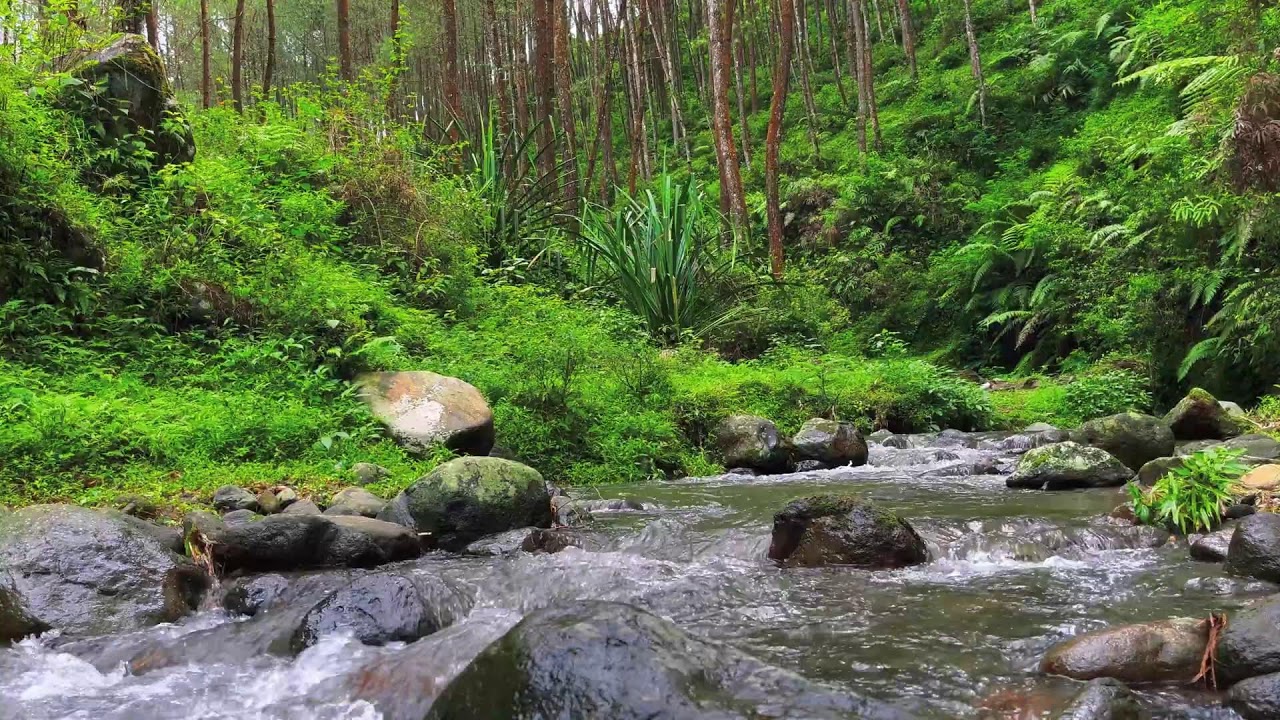 Flow of Calm – River Sounds for Deep Focus, Mind Balance & Stress Relief