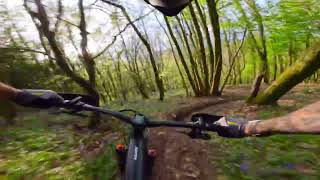 Wentwood GoPro - Chatte a gogo trail