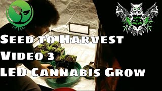 Seed To Harvest Optic 6 LED Garden Documentary Update 3: Transplanting And Feeding