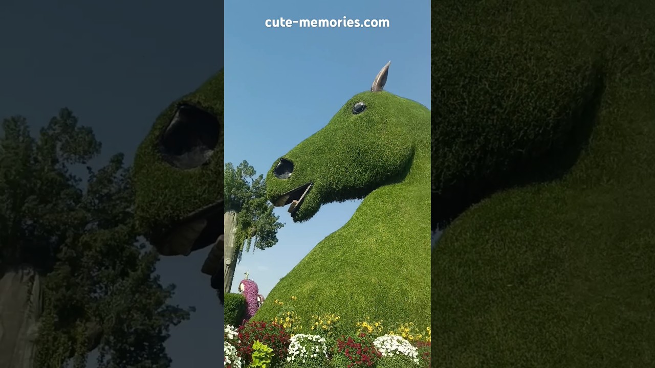 Horses 🐎🐴🐎 of Miracle Garden ✨🌺 Dubai 🇦🇪