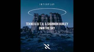 TEKNO & DJ T.H. & Shannon Hurley - Own The Sky