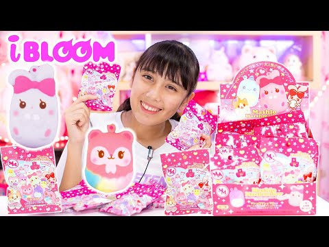 ブルーム新作スクイーズ！いきなりシークレット？！コンプリート