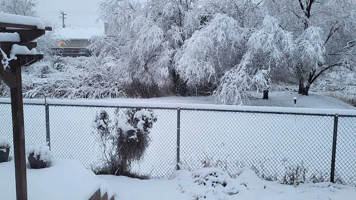 Storm dumps feet of snow on New Year's Day