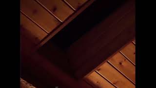 Gemini Home Video - Marys Reversed Speech