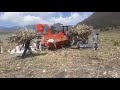Moliendo rastrojo de maíz con mazorca con Molino 24 con tolva alimentadora, tractor MF2680 de 105hp