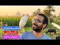 الصف الخامس 2026 الترم الثاني الوحدة الرابعة الدرس الرابع ابسط شرح انجليزي English Unit 4 