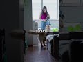 What My Dog Thinks When I Leave! 🐶