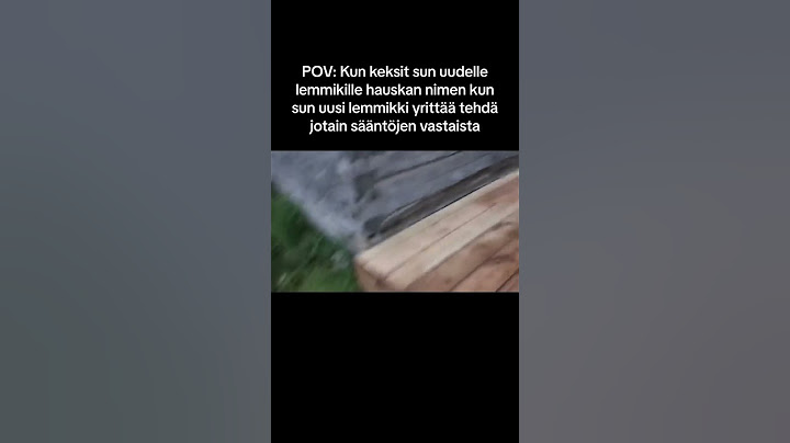 POV: Keksit sun uudelle lemmikille hauskan nimen kun sun uus lemmikki tekee jotai sääntöjen vastasta