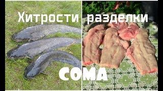 Как чистить и разделать сома. Простой оригинальный способ. Как чистить и разделать сома. Простой оригинальный способ.