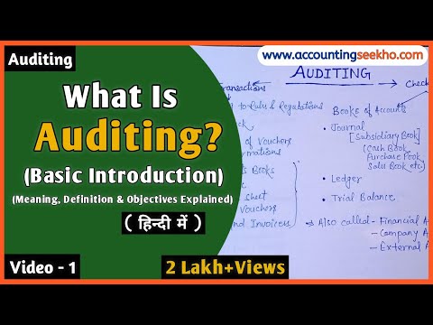 Auditing किसे कहते हैं? Auditing के Objectives क्या-क्या होते हैं? l Full Introduction (हिन्दी में)