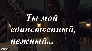 Штольман и Анна (Дмитрий Фрид и Александра Никифорова) в фан-клипе 