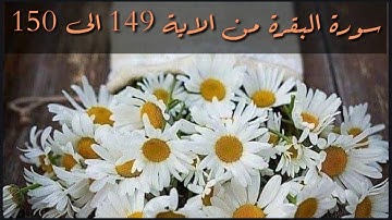 حفظ سورة البقرة من الاية 149 الى 150 بالتكرار