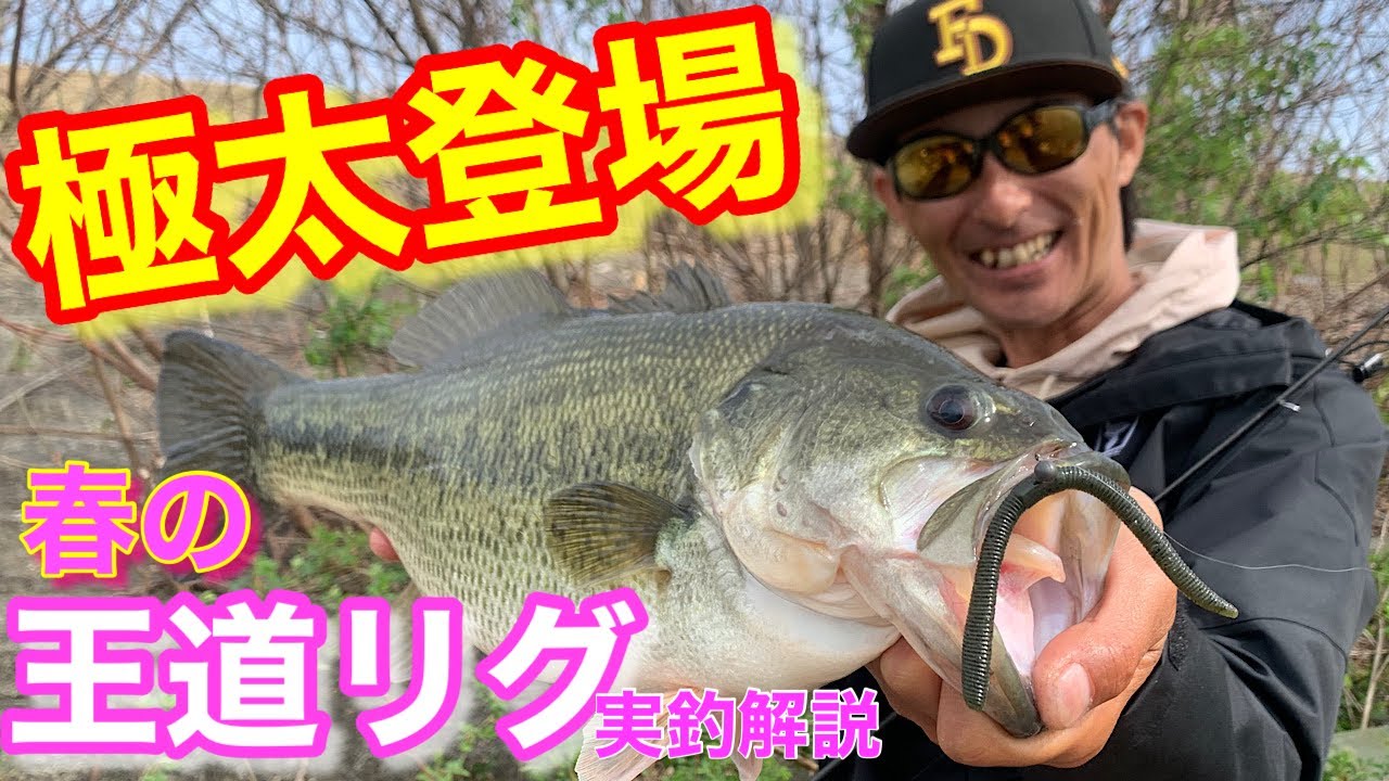 【ド定番 フリックシェイク】春のド真ん中を攻略する ド定番の使い方はコレ!! 【水の旅＃ ４１】