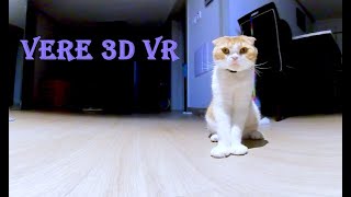 [180 3D VR] Verelife 79 Daily vr after a long time