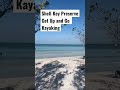 Shell Key Preserve #shellkey # #shellkeypreserve