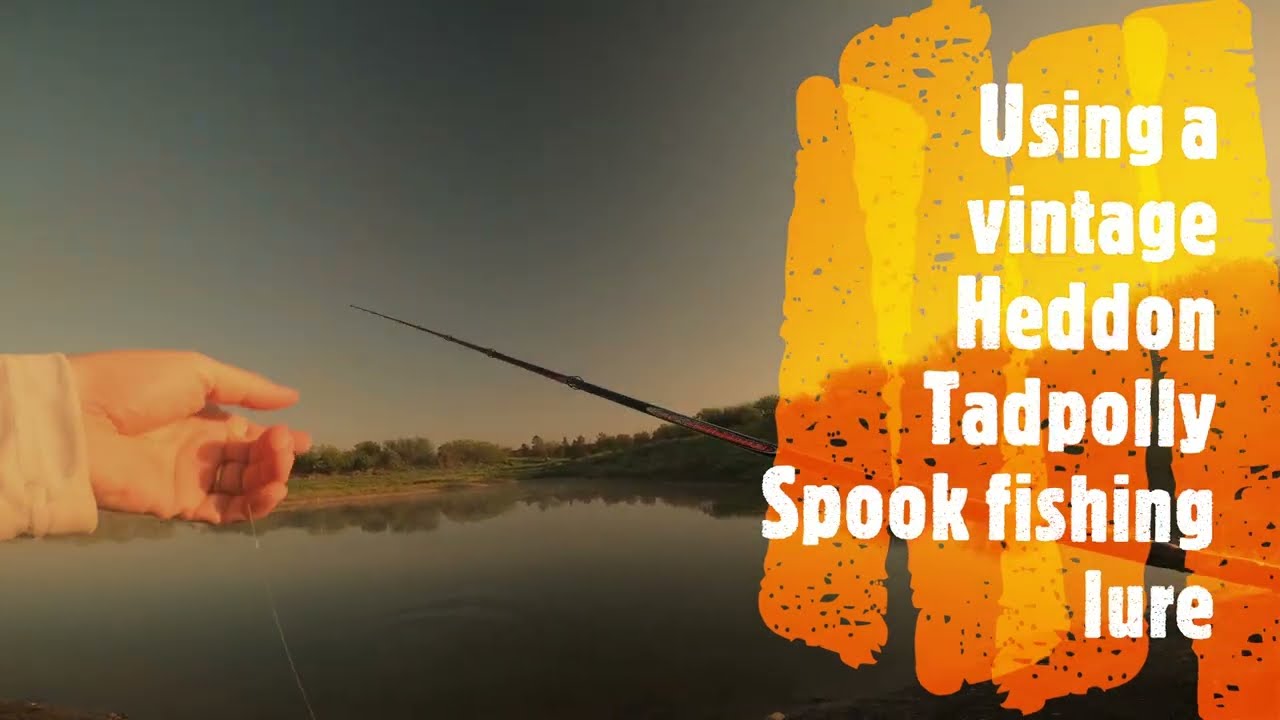 Tossing a vintage Heddon Tadpolly Spook at a farm pond in San
