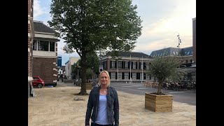 Kadernota Juni 2019 Plan 2 100-Grote-Bomen-Plan