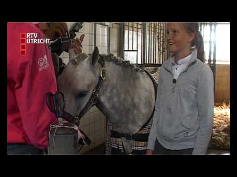 Regiokampioensch...  voor paarden