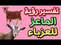 تفسير رؤية الماعز للعزباء فى المنام