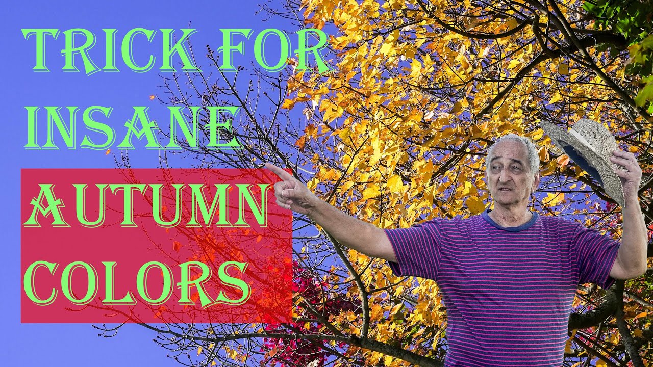 Use This Pro Trick For Insane Autumn Colors- CPL filter