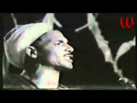 شوقي القيناوي السيرة الهلاليه