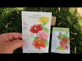 Planting Zinnias, Troubleshooting Drip & Watering the Greenhouse! ??????// Garden Answer