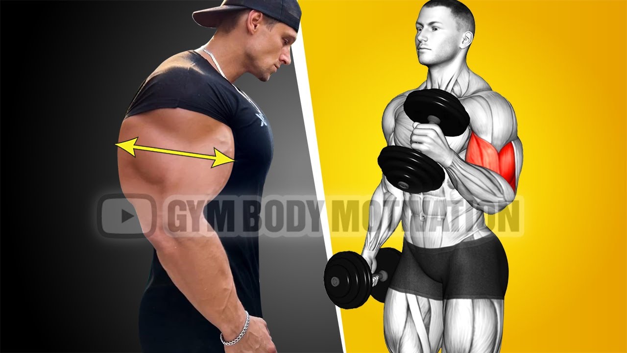 8 Best Biceps and Triceps Exercises for Bigger Arms Fast 