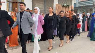 Rekolara Giden Kürtçe Halay Şevko 2024 - Kurdish Wedding - Oyun Havaları Hareketli - Koma Berçem Resimi