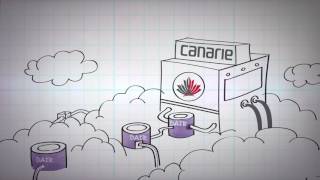 What can the CANARE DAIR cloud do for your business