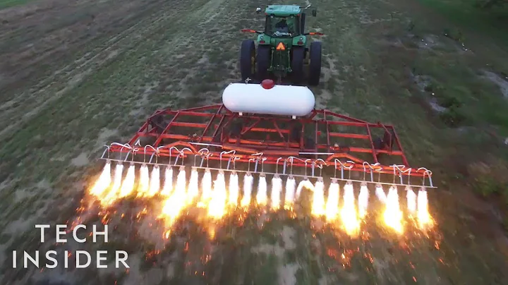 How These Flame-Throwing Tractors Kill Weeds