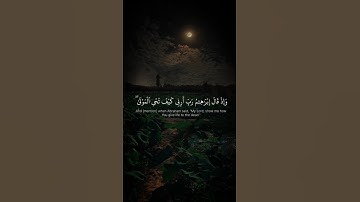 اكتب شئ تؤجر عليه 🤍🌷 #quran #quran_kareem #قرآن #تلاوة_خاشعة