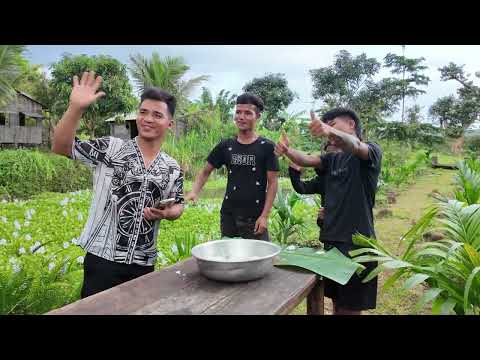 Trò chơi ăn trứng | đur siu y ăn ý điêu