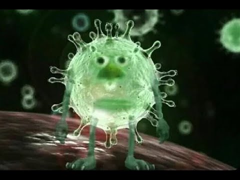 როგორ ვებრძოლოთ კორონა ვირუსს / How to fight coronavirus