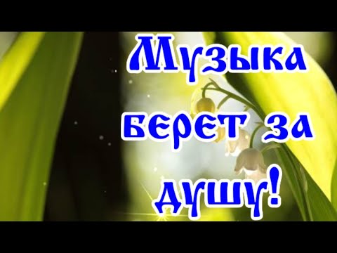 Красиво для души! Музыка Андрея Обидина. ТОЛЬКО ПОСЛУШАЙ.