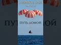 Часть 14: Artemis II Путь домой.      #космос #луна #артемида #гравитация #земля